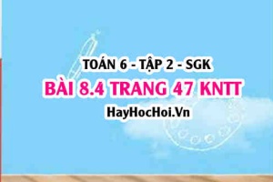 Bài 8.4 trang 47 Toán 6 Tập 2 Kết nối tri thức